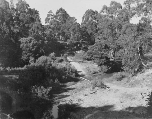 album Glass Plates from Mount Evelyn, Victoria